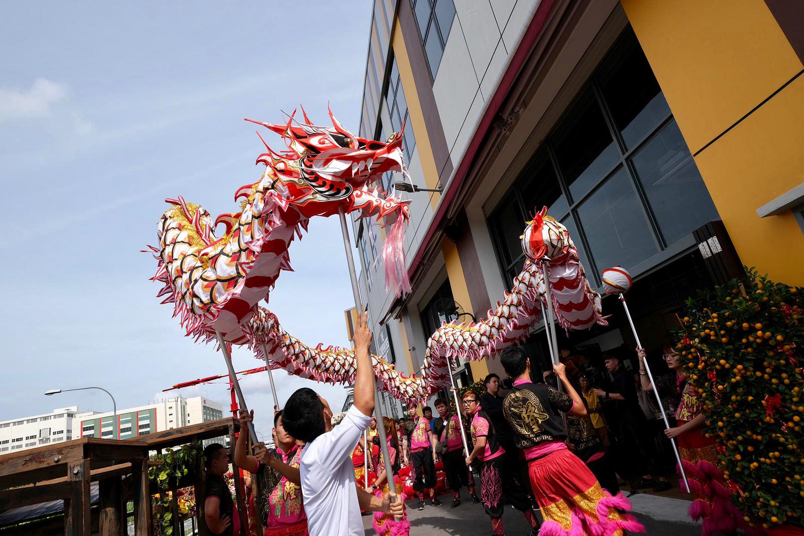 Dragon and LED Dragon Dance Performance