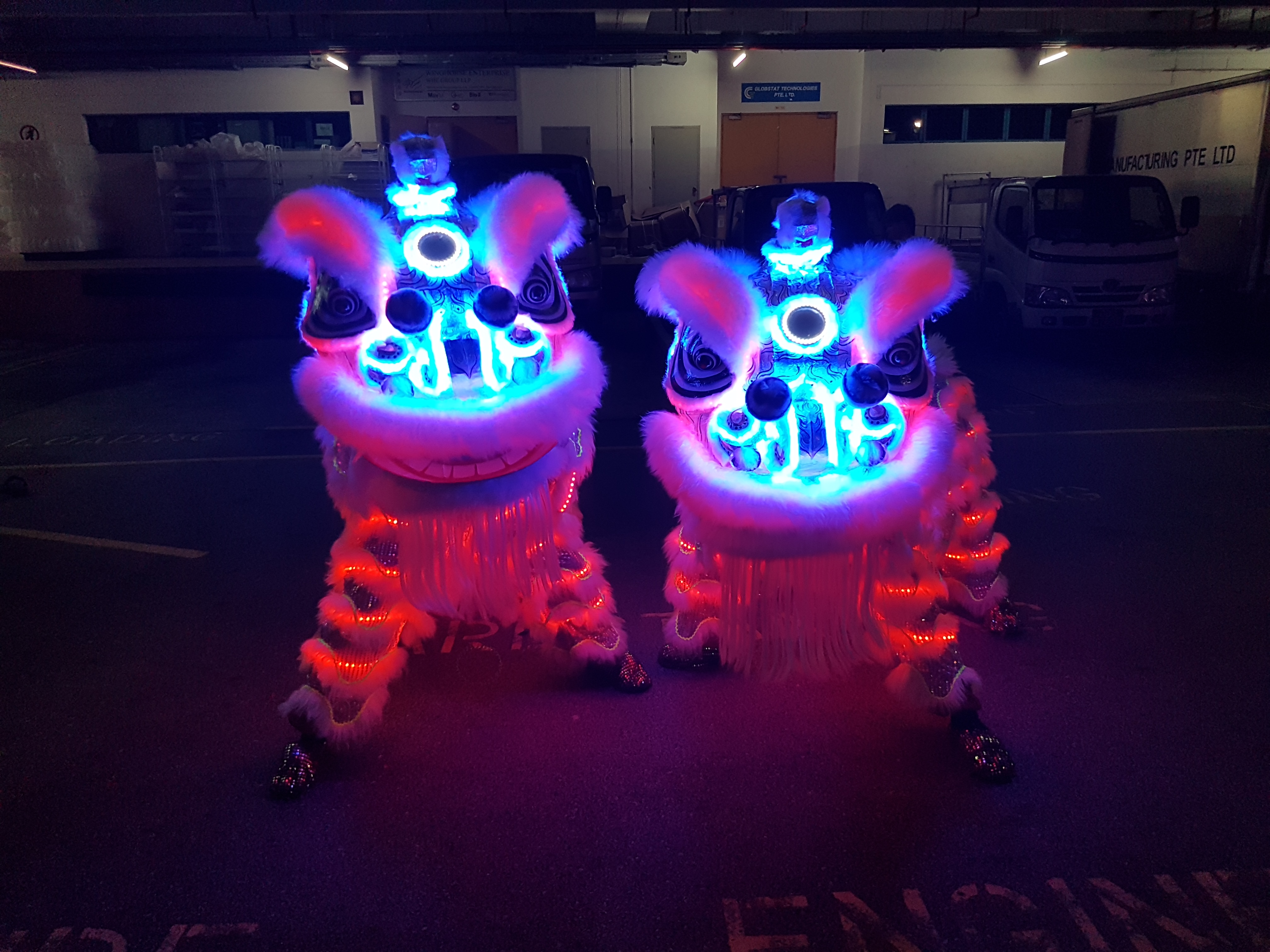 Lion and Dragon Dance Performance 2