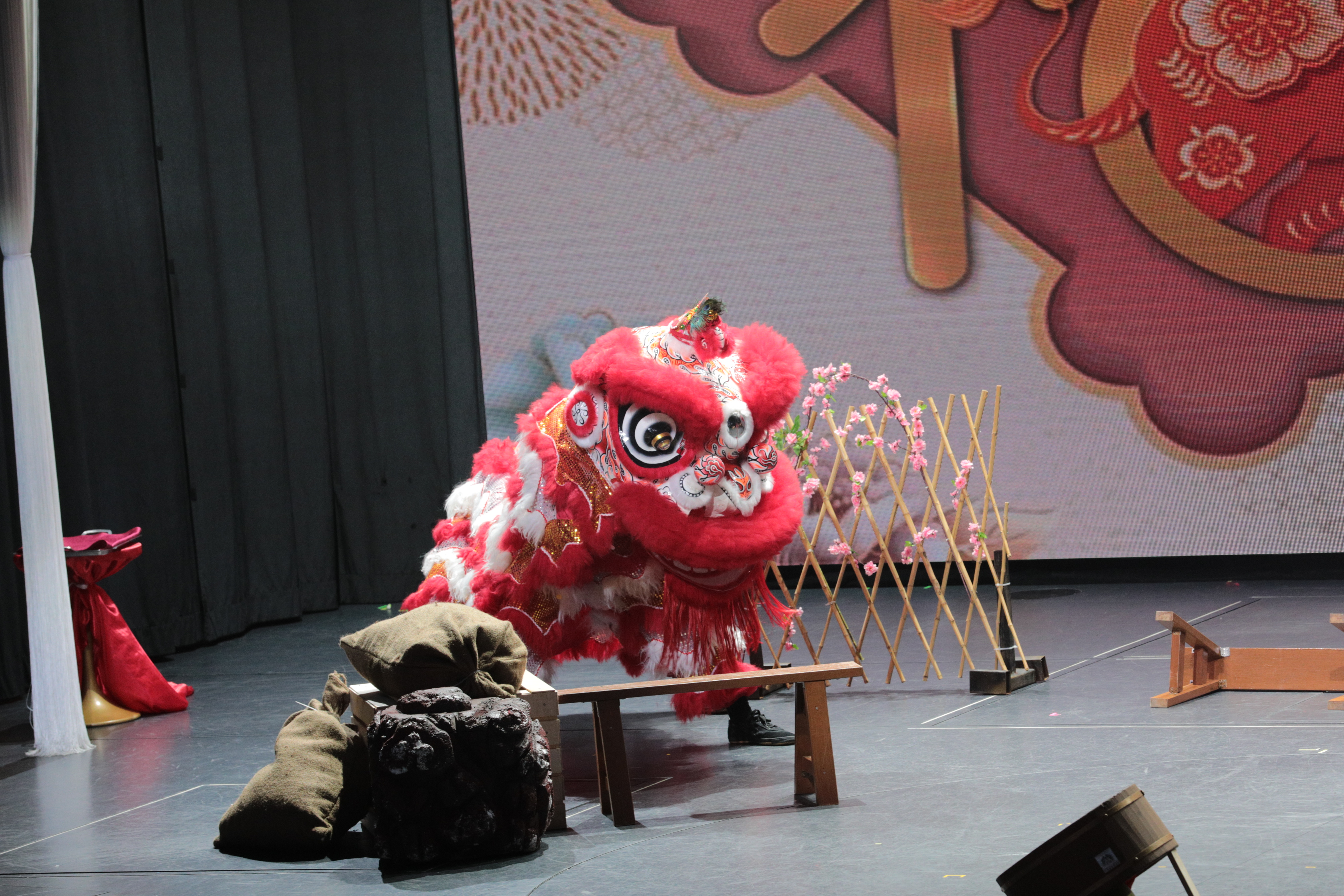 Lion and Dragon Dance Performance