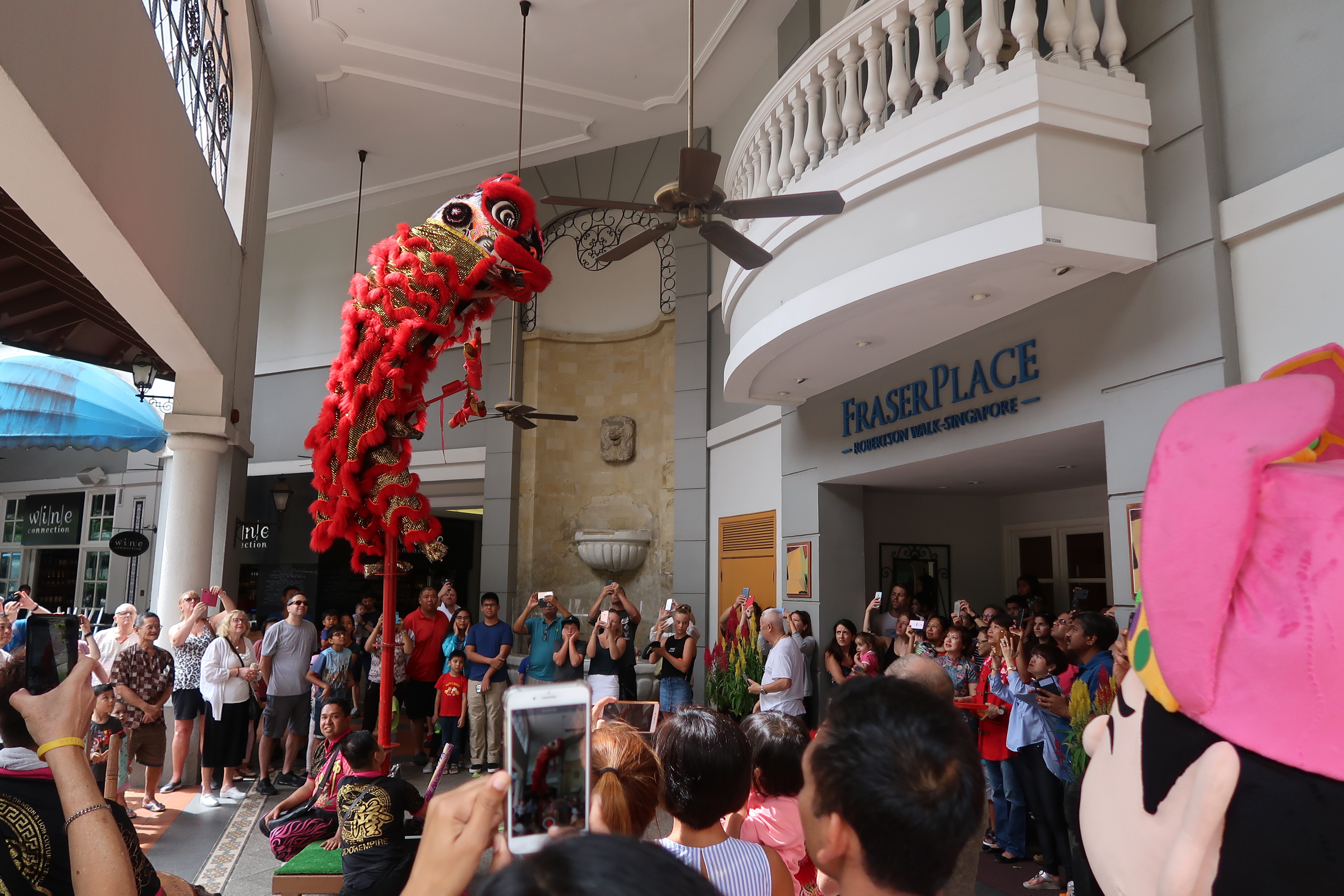 Lion and Dragon Dance Performance