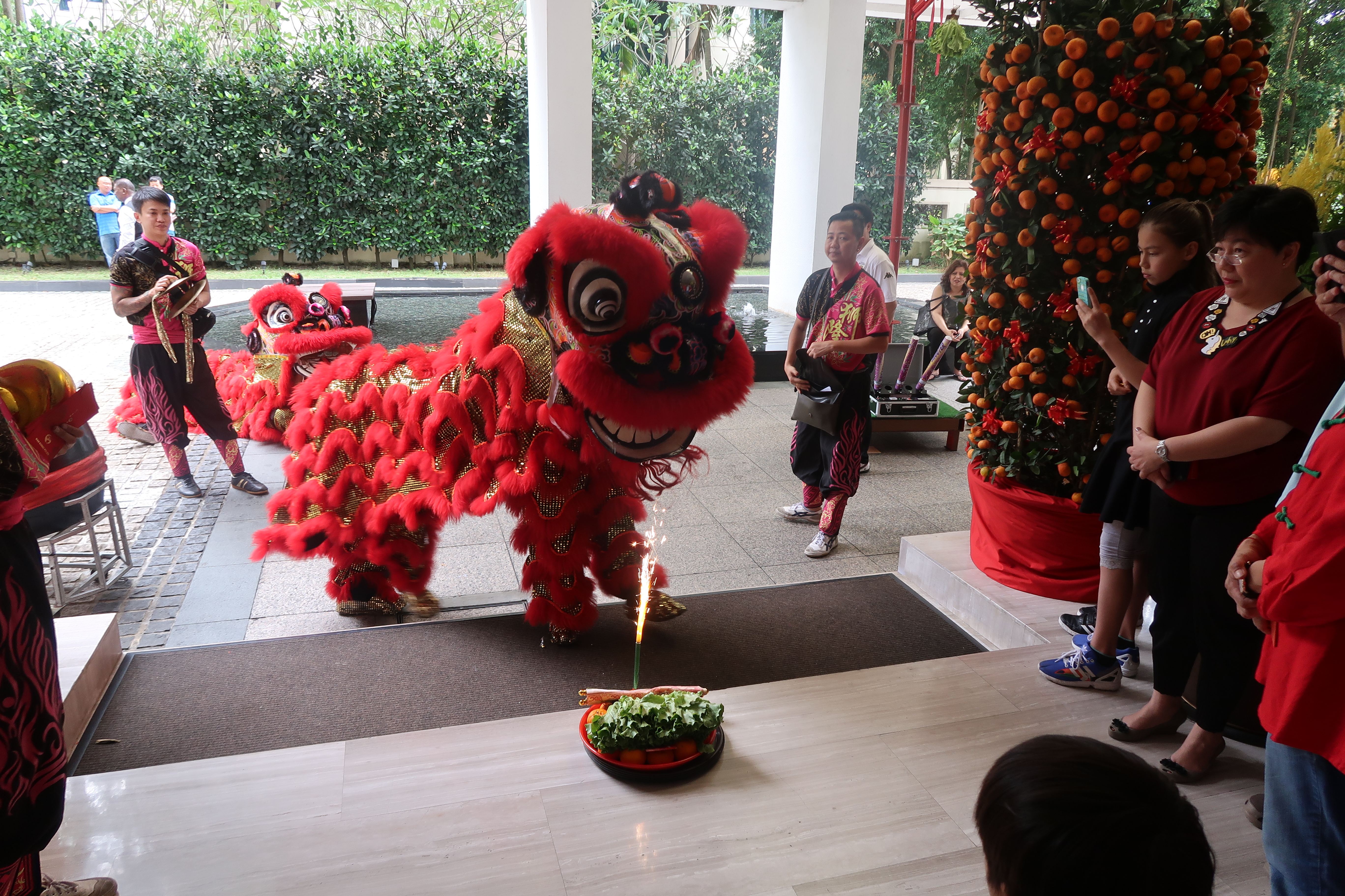 Lion and Dragon Dance Performance