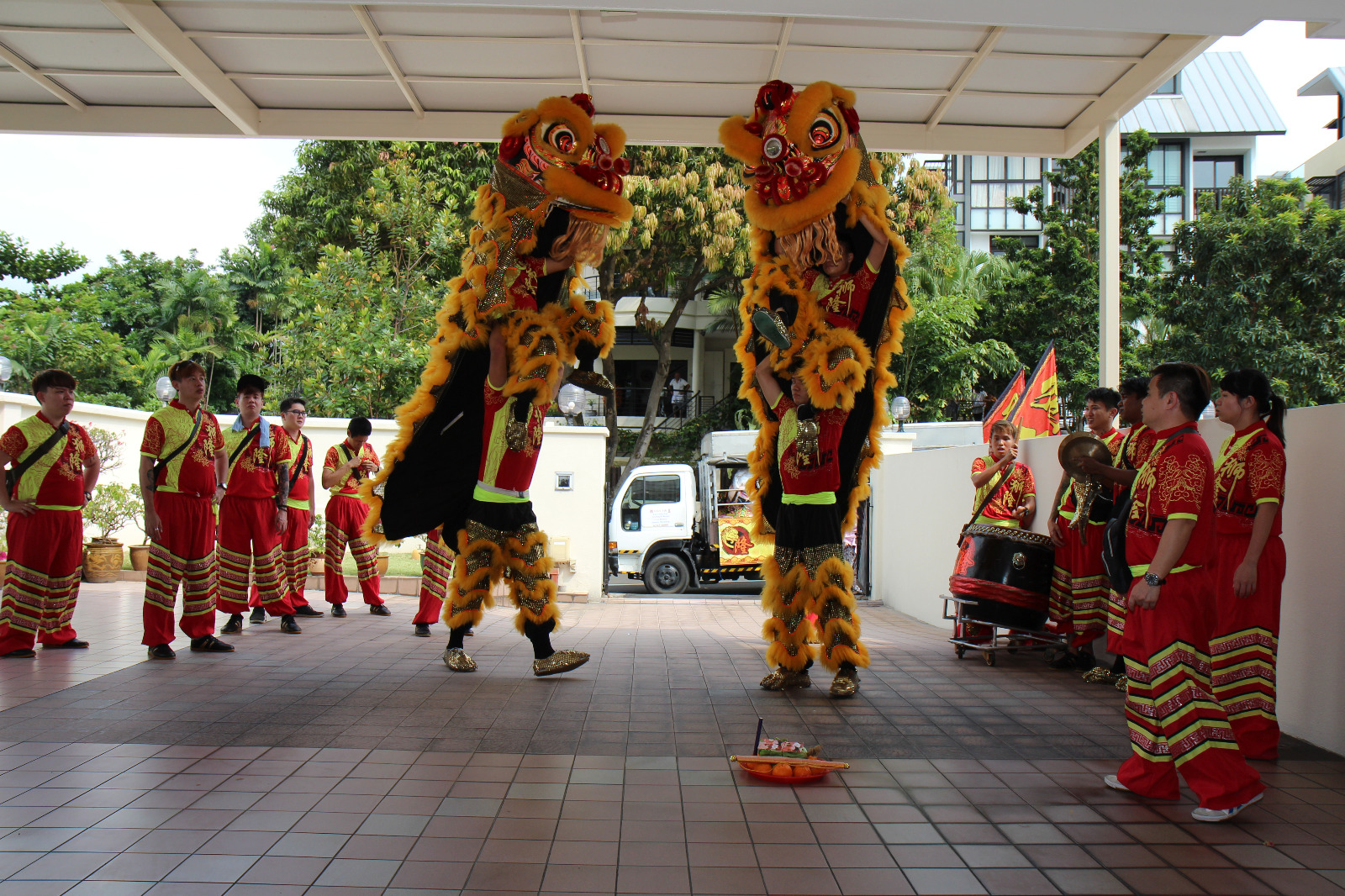 Lion and Dragon Dance Performance