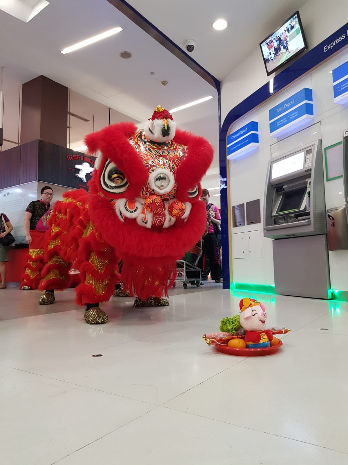 Lion and Dragon Dance Performance