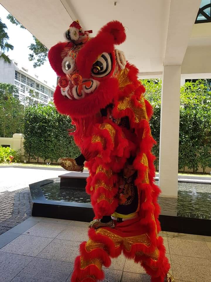 Lion and Dragon Dance Performance