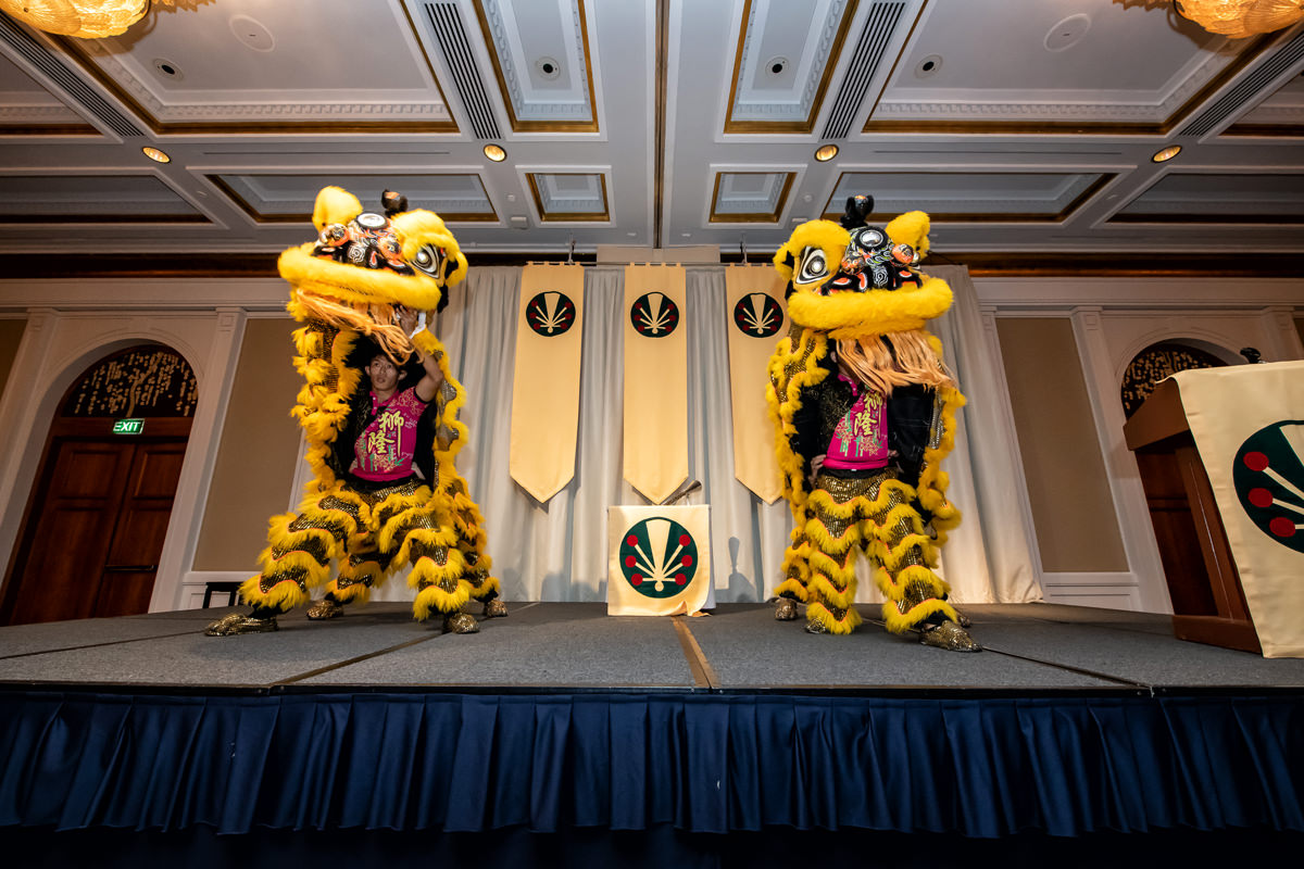 Lion and Dragon Dance Performance