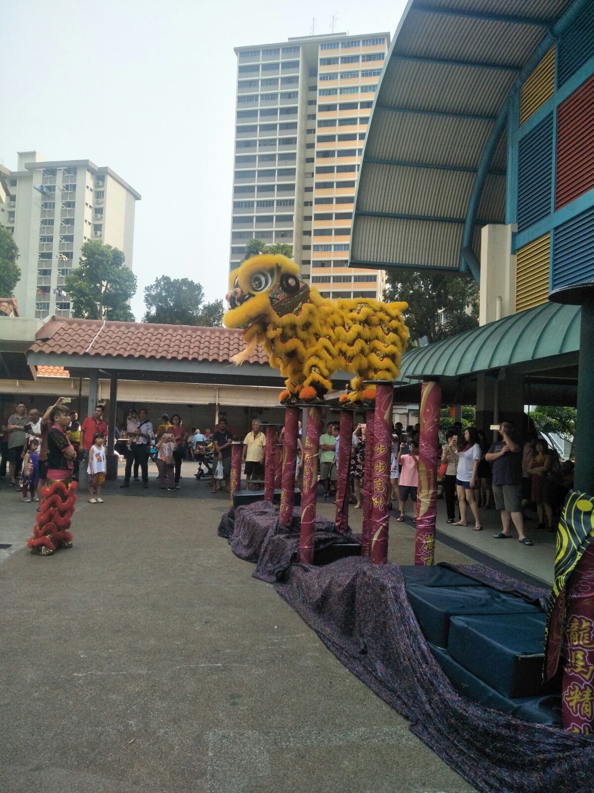 Professional High Pole Service 2