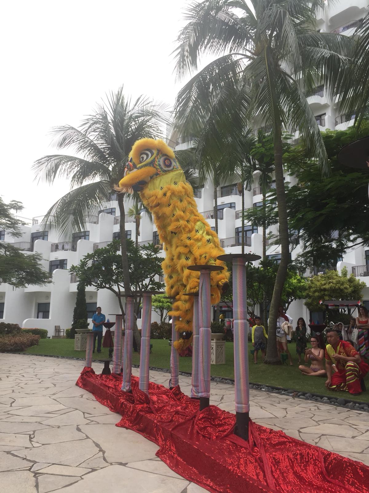 Professional High Pole Service