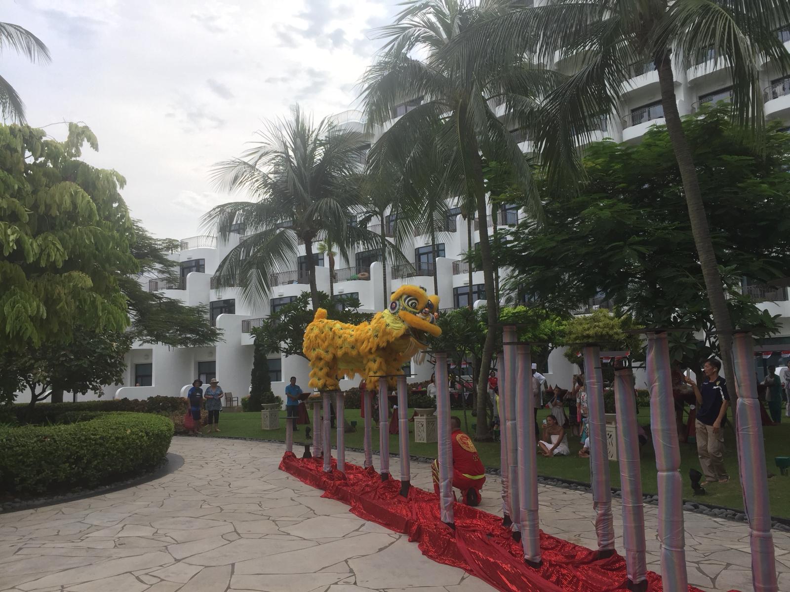 Professional High Pole Service