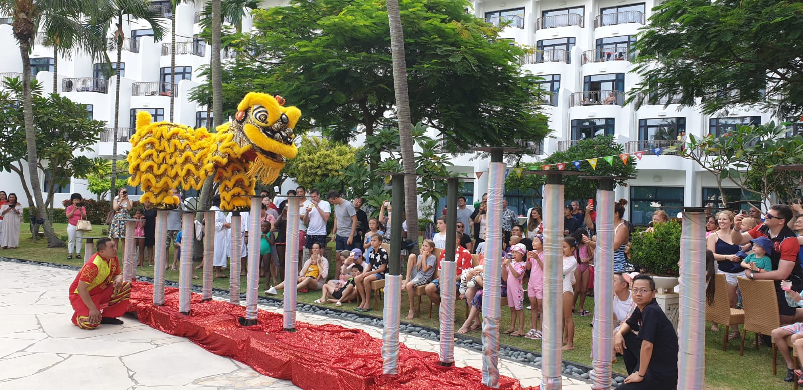 Professional High Pole Service