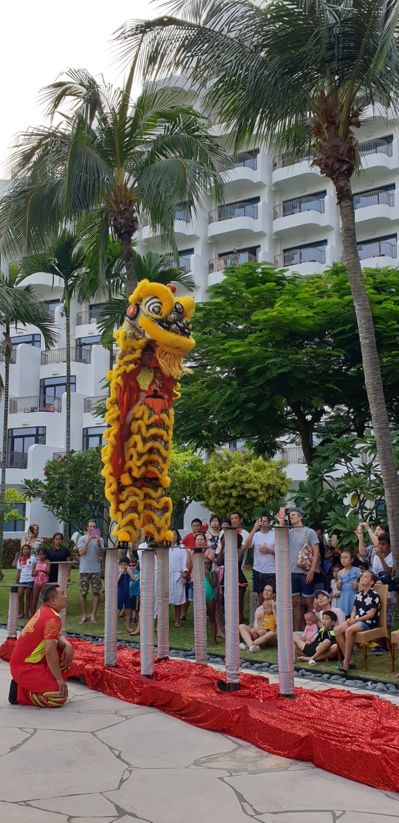 Professional High Pole Service