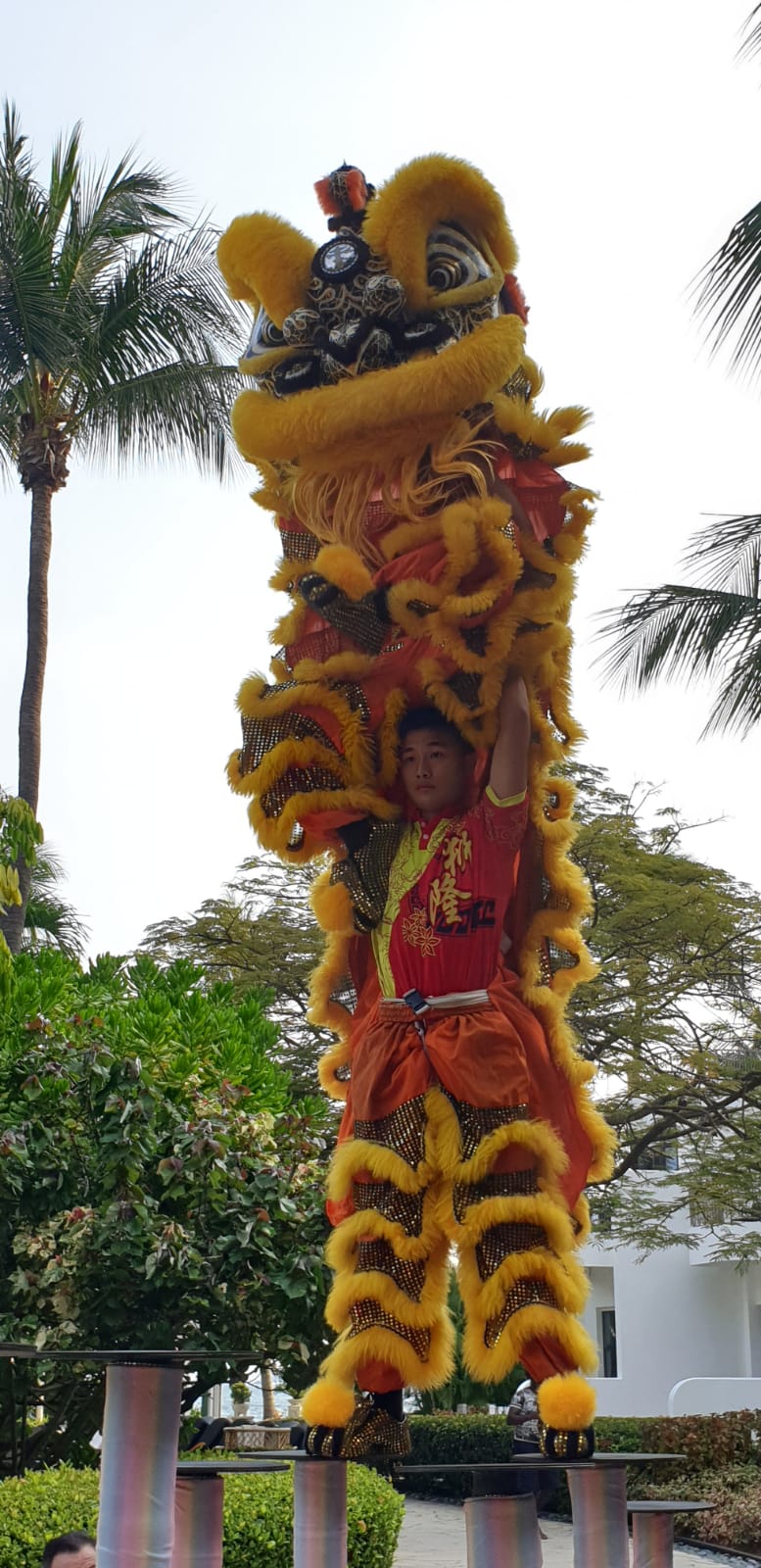 Professional High Pole Service